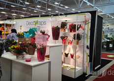 The Decowraps products.