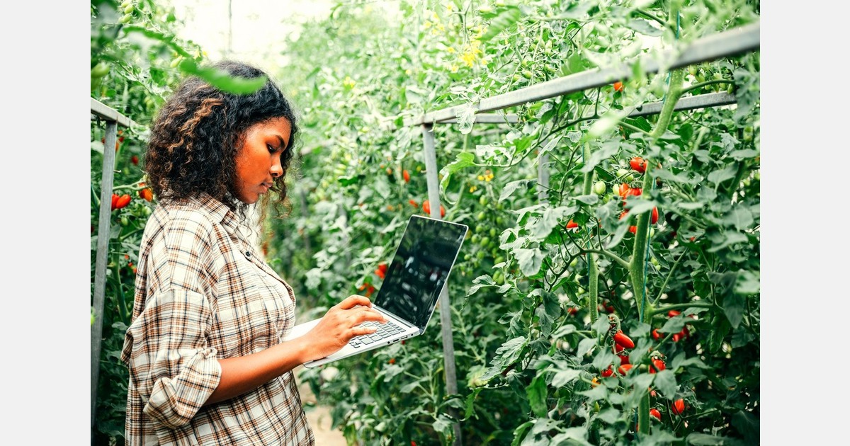 For technology to deliver real impact, it must go hand in hand with training and upskilling the workforce