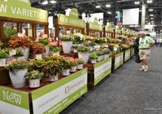 Many new varieties shown at the show