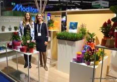 Lisa van Koningsveld and Francis Schrama at Modiform. Among others, the comapny presented a new solution preventing roots of (notably) orchids and bromeliads attaching to the pot. This solution, a specially to this end developed coating, is called 'Root Barrier'.